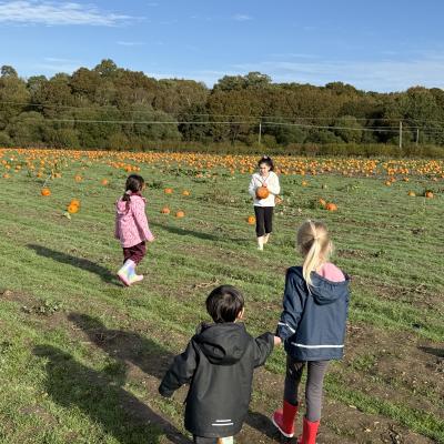 Image from MONTESSORI CM