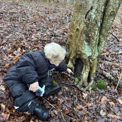 Image from LittleBarn