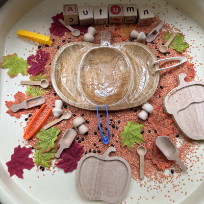 Image from Tiny Explorers 