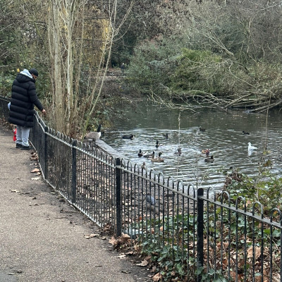 Image from Giggles and Growth