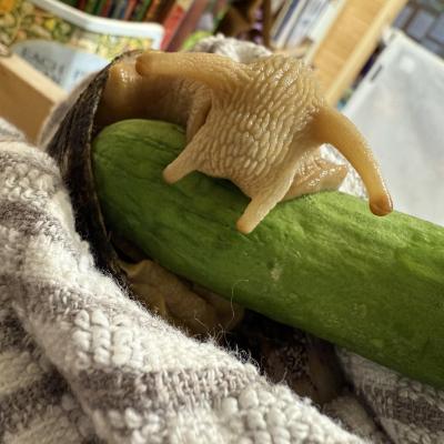 Image from Little Leaps Daycare