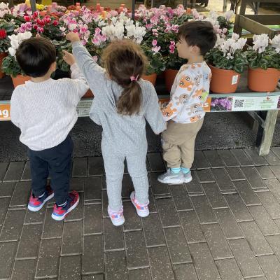 Image from Happy Hearts