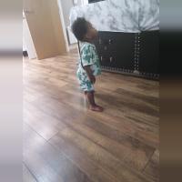 shola