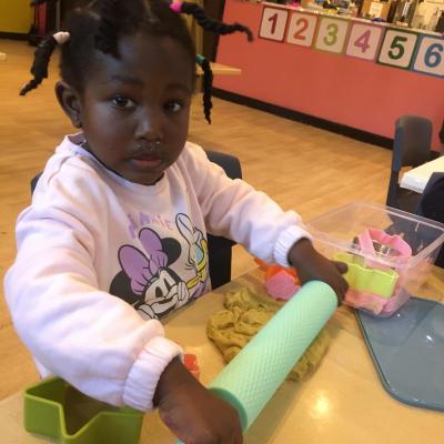 Image from Rose Garden Nursery