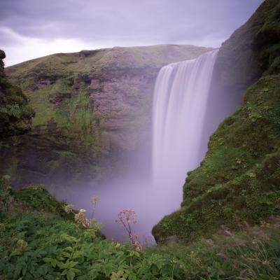 Image from TestDev