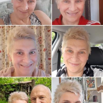 Image from Dorina