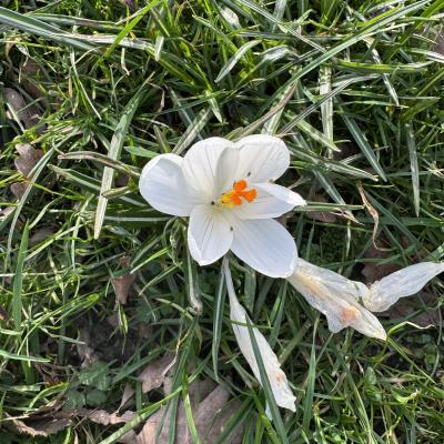 Image from Blue Bear Day Care