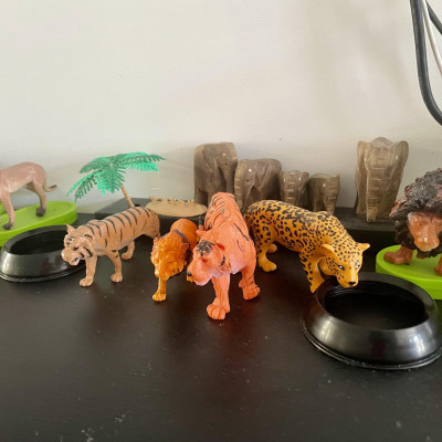 Image from Care4Cub