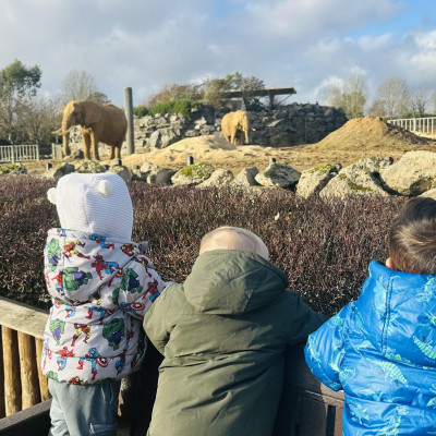 Image from Teeny turtles