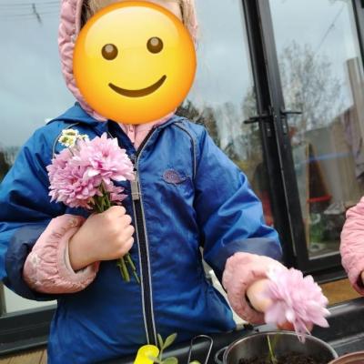 Image from Nicola and Colin