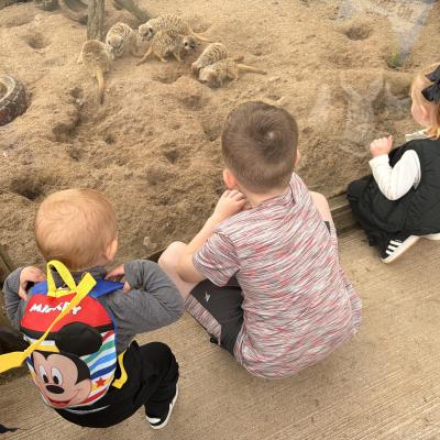 Image from EYFS225