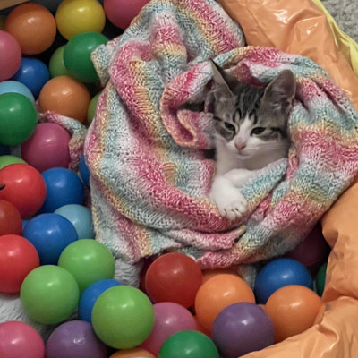 Image from Home from Home