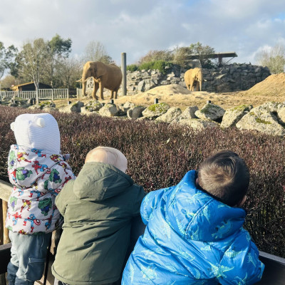 Image from Teeny turtles