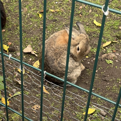 Image from Misbah childminder 