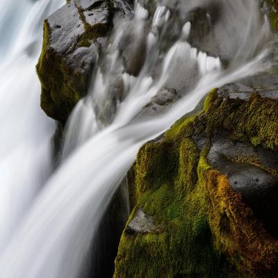 Image from TestDev