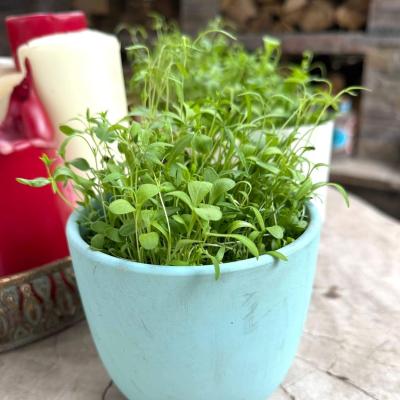 Image from Mischelle Akid