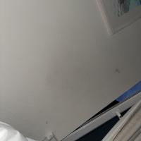 Amalin H