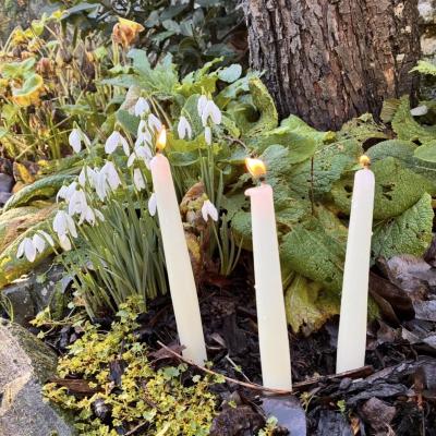 Image from Little Greens