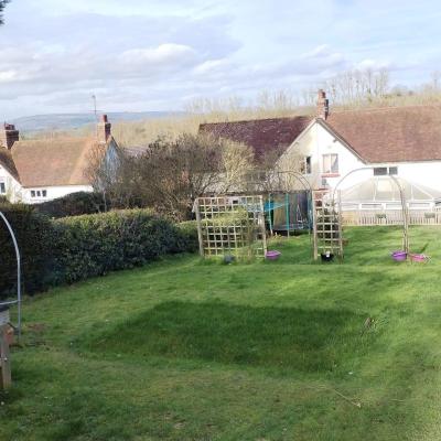Image from Lois