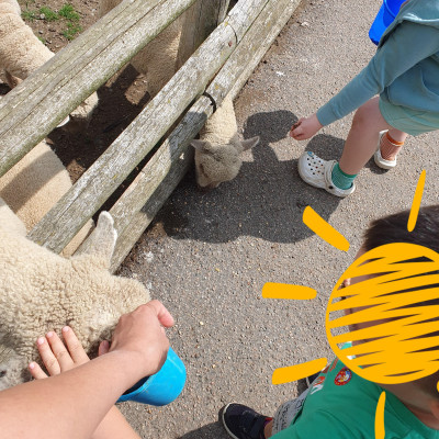Image from Busy Tiny Hands