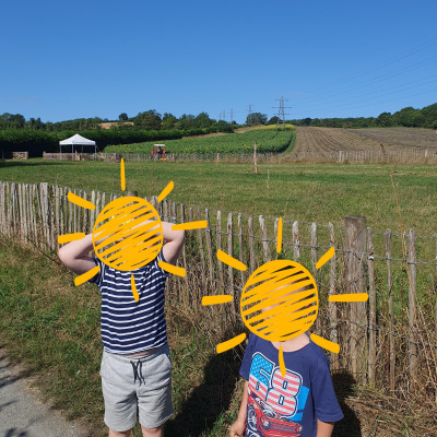 Image from Busy Tiny Hands