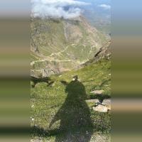 Avatar for Tarin Choudhury