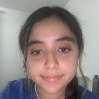 Niaema