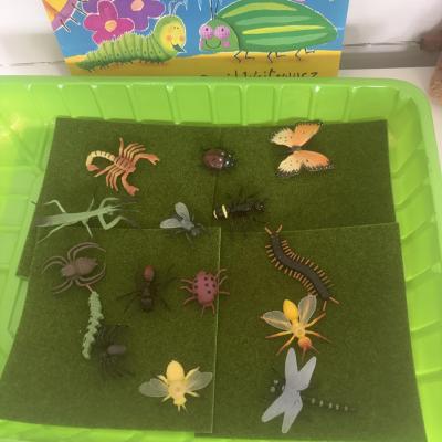 Image from Liz