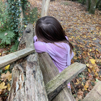 Image from Universal Guardian