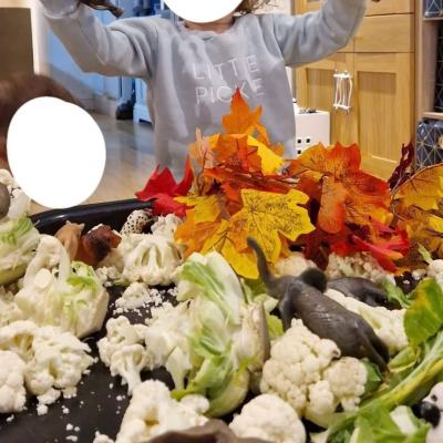 Image from Little Places