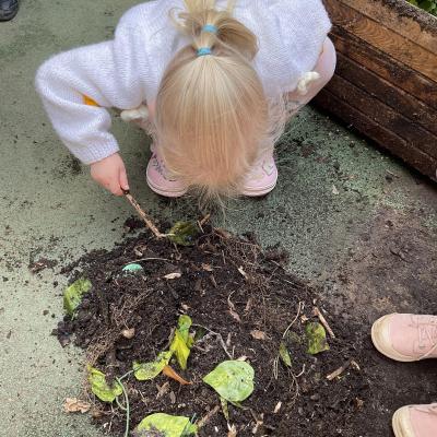 Image from Kiddy Care Nursery