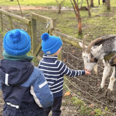 Image from Katies Kiddos