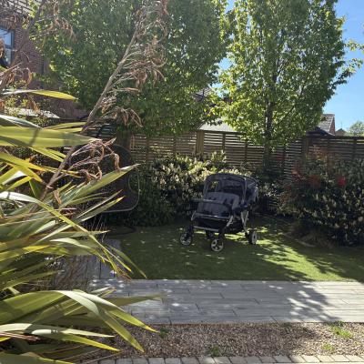 Image from Abi
