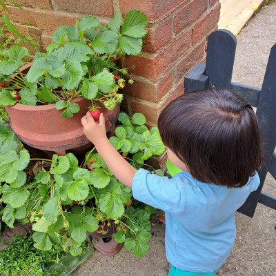 Image from Happy Sprouts 