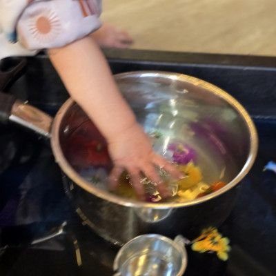 Image from Rainbow Ridg Nursery