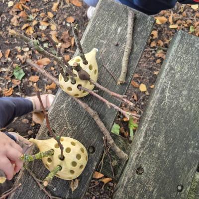 Image from Suzanne Lynn