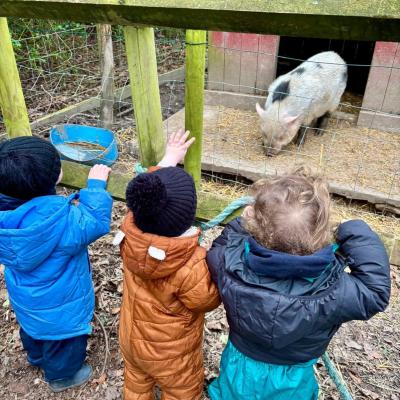 Image from Nicolachenery