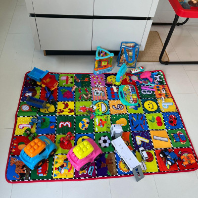 Image from Alida