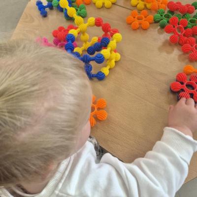 Image from Flora
