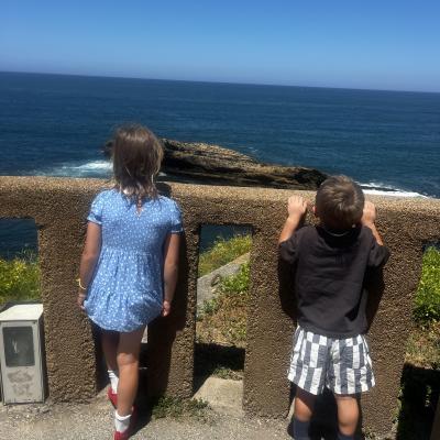 Image from MegFern