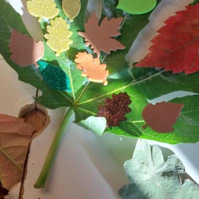 Image from Ruth