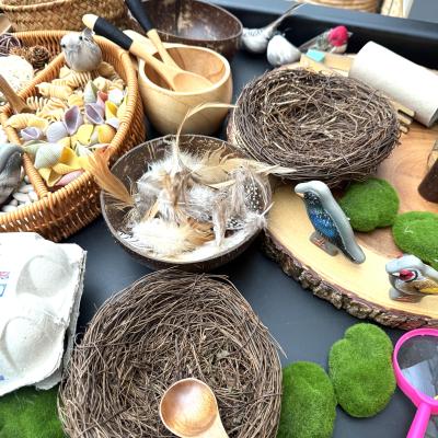 Image from Mischelle Akid