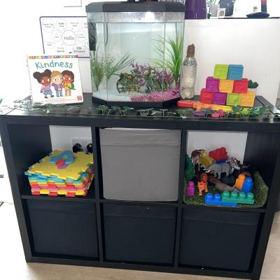 Image from Mel