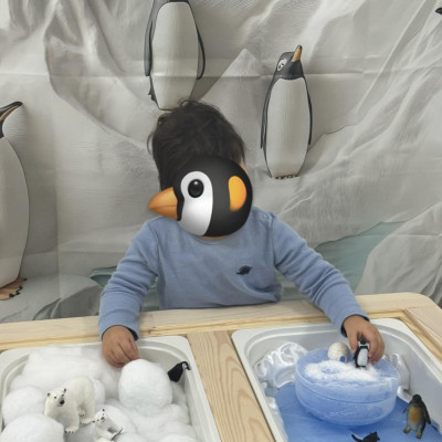 Image from First Steps Learning