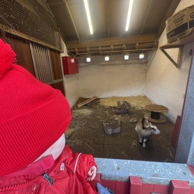 Image from Auntie Annies