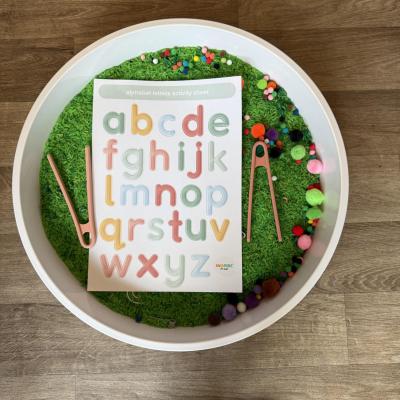 Image from Little T