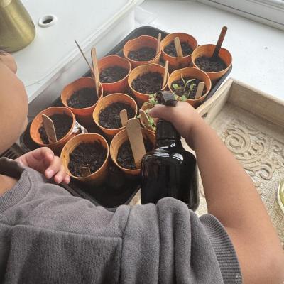 Image from Natural Learners