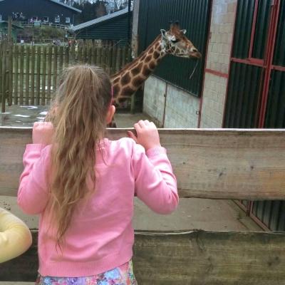 Image from Rachel