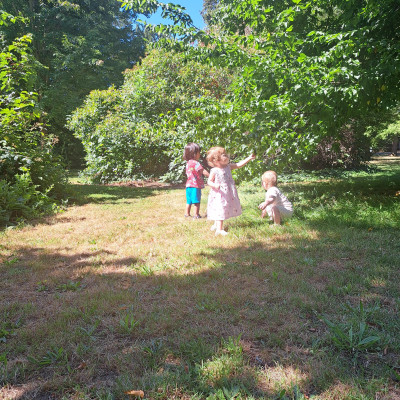 Image from Happy Sprouts 