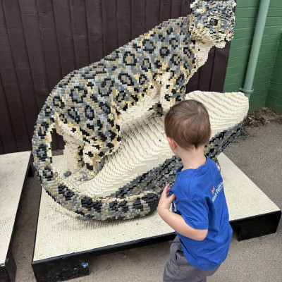 Image from Evie